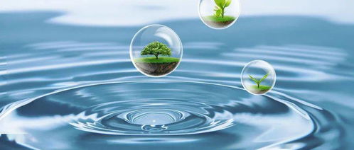 年底全面禁用塑料制品，环保新规推动生态环境材料制造发展