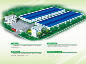 聚焦绿色发展 年产5万吨环保高淀粉含量生物降解塑料制品项目引领生态材料新篇章